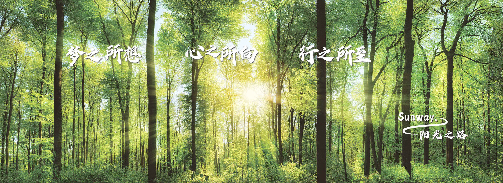 <stl:content type='Title'>